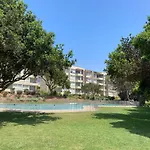 Entre Playa Y Bosque Papudo