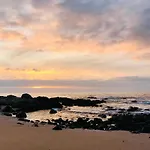 Entre Playa y Bosque Papudo