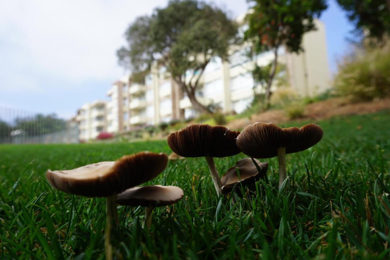 Entre Playa Y Bosque Apartamento