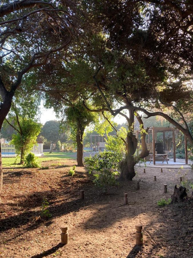 Entre Playa Y Bosque Apartamento *