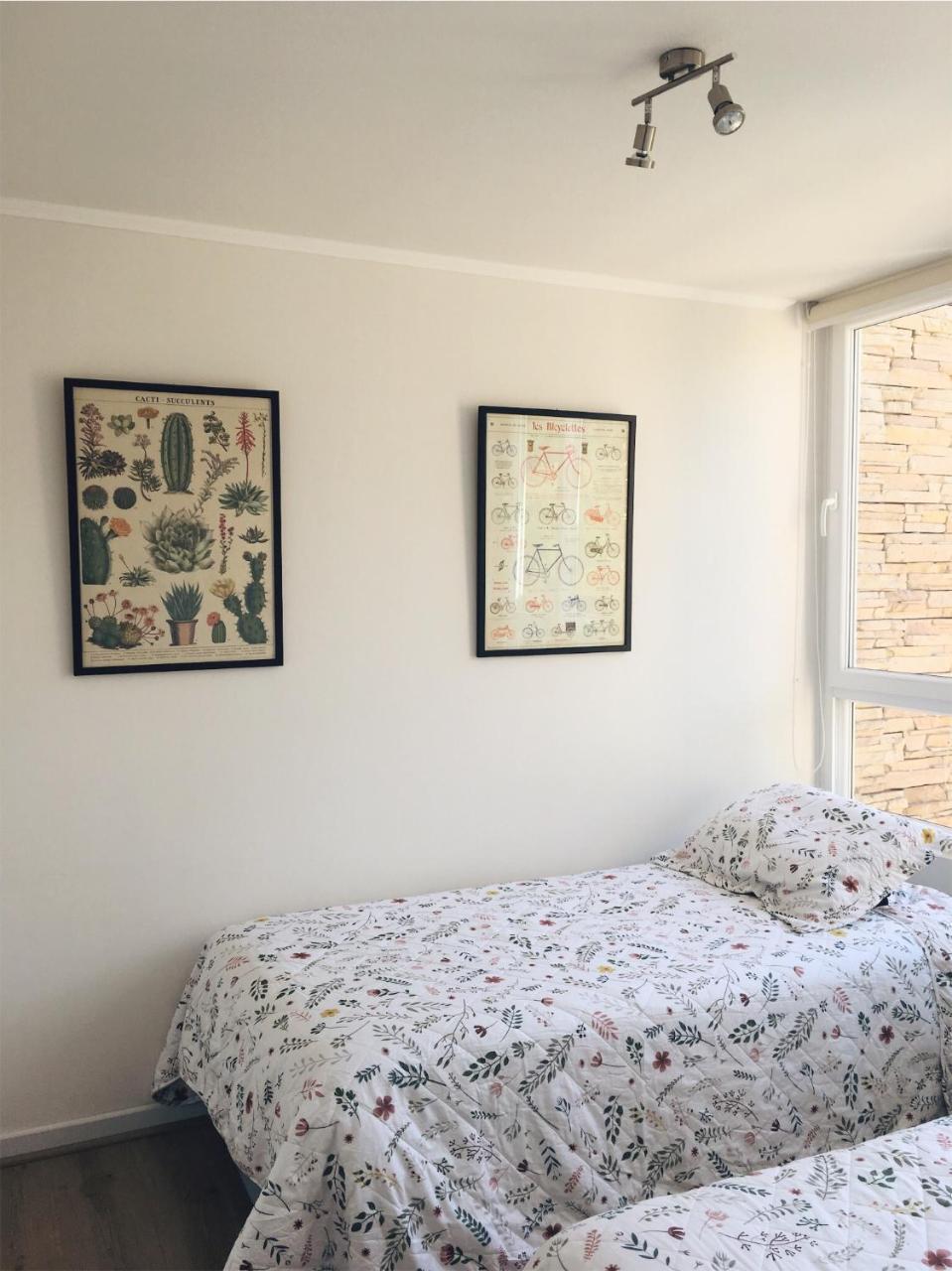 Apartamento Entre Playa Y Bosque Papudo