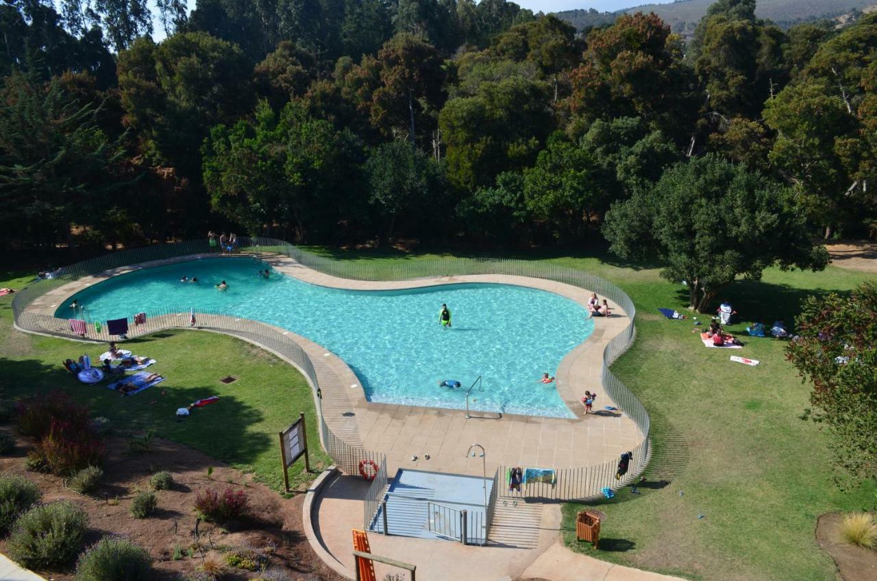 Apartamento Entre Playa Y Bosque Papudo